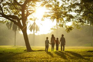 Important Local Resources for Clive Family Law